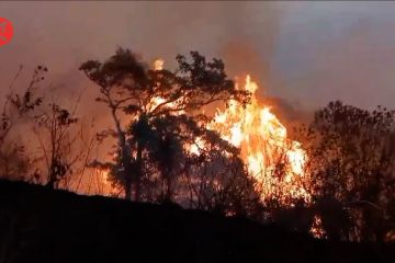 Kebakaran di kawasan Gunung Arjuno kembali terjadi