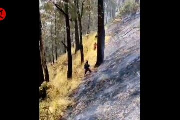Kebakaran Gunung Lawu di Karanganyar capai 8 hektare