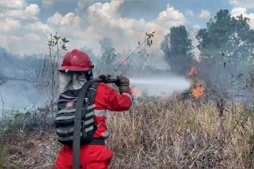 Setelah kemarau panjang, Kalteng diprediksi hujan sepekan ke depan