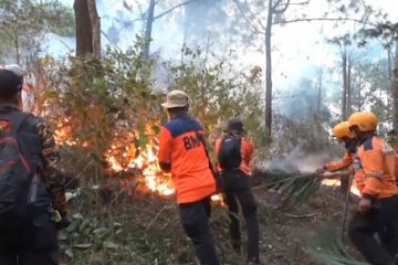 Satgas karhutla Gunung Lawu kombinasikan pemadaman lewat darat & udara