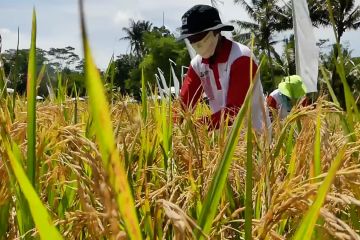 Temanggung terima Dana Insentif Daerah Rp29,5 miliar