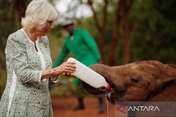 Kunjungan Raja Charles dan Ratu Camilla ke Kenya