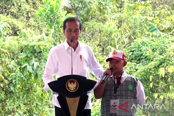 Jokowi: Sejumlah SD di kawasan IKN direvitalisasi tingkatkan kualitas