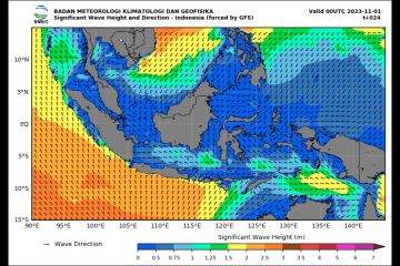 BMKG imbau masyarakat beraktivitas di pesisir waspada gelombang tinggi