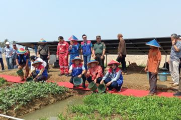 Desa Energi Pertamina atasi kendala irigasi petani Kalijaran Cilacap