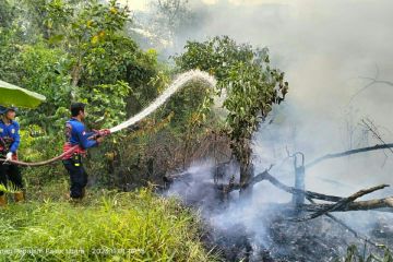 298 titik panas terpantau di wilayah Kalimantan Timur