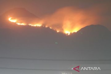 Kebakaran dahsyat melanda Gunung Penanggungan Mojokerto