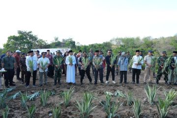 Pesantren As'adiyah siapkan lahan 100 hektare dukung pangan Sulsel