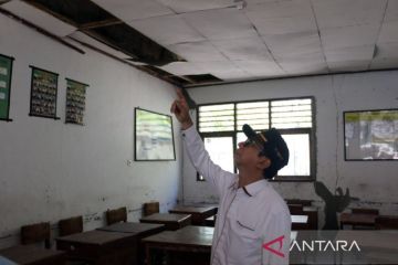 BNPB: 520 warga terdampak gempa NTT dan tak ada korban jiwa