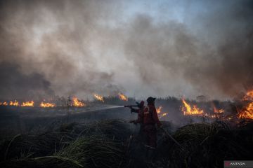 Foto Cerita : Menjaga kesehatan petarung api