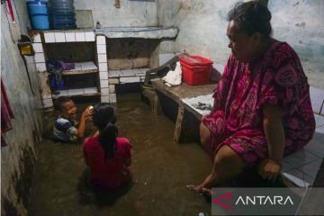 15 jiwa mengungsi akibat banjir di DKI Jakarta