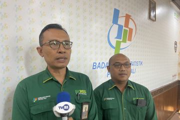 BPS akui ekonomi Bali meningkat meski pertanian kontraksi