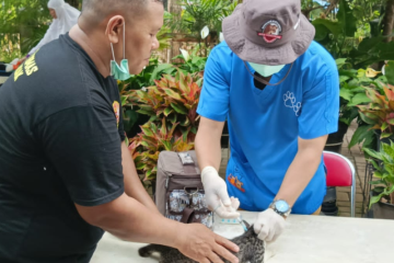 Sudin KPKP Jakarta Selatan lanjutkan program vaksinasi rabies gratis