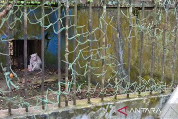 Kondisi Medan Zoo terbengkalai