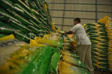 Stok beras di Bengkulu