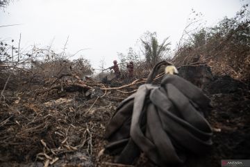 Manggala Agni masih berupaya memadamkan karhutla di Desa Jungkal