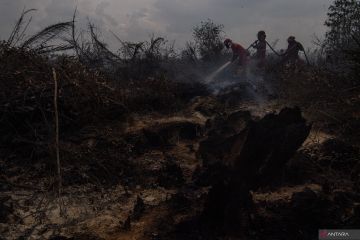 Manggala Agni masih berupaya memadamkan karhutla di Desa Jungkal