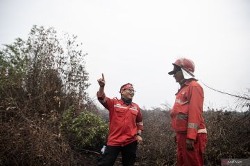 Manggala Agni masih berupaya memadamkan karhutla di Desa Jungkal