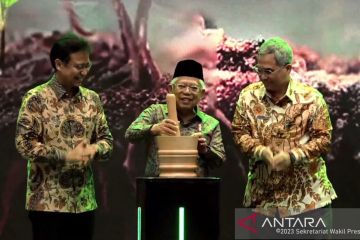 Wapres Ma’ruf Amin sangat kehilangan Doni Monardo