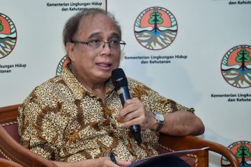 APHI: Perusahaan pemegang PBPH mulai masuk ke perdagangan karbon