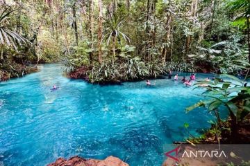 Menyelami keindahan Kali Biru, surga di pedalaman Raja Ampat