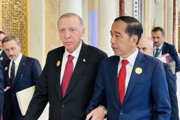 RI-Turki sepakat dukung perjuangan kemerdekaan Palestina