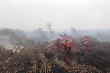KLHK terus upayakan pemadaman kebakaran gambut di Sumatera Selatan