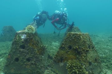 PHSS selamatkan ekosistem bawah laut lewat program Jaga Pesisir Kita