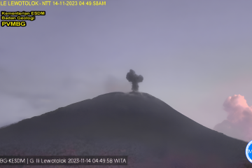 Gunung Ili Lewotolok NTT menyemburkan abu vulkanik setinggi 300 meter
