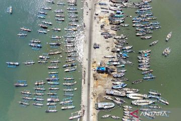 Aktivitas pelabuhan perikanan tertua Muncar di Jawa