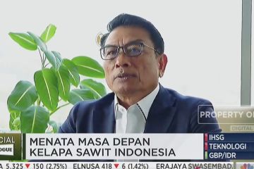 Moeldoko sebut kebun di hutan kendala terbesar peremajaan sawit rakyat