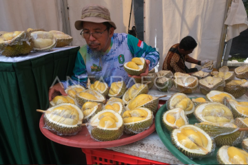 Sepuluh varietas durian unggul nasional dari Kalbar