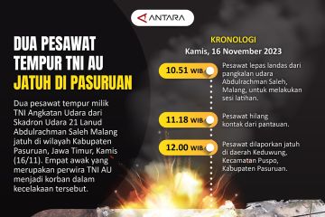 Dua pesawat tempur TNI AU jatuh di Pasuruan