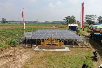 PLTS irigasi milik PTBA sejahterakan petani di Lampung Tengah
