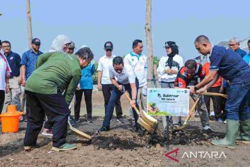 Jaga kualitas udara, Heru tanam 200 pohon di TPU Waduk Cipayung
