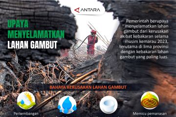 Upaya menyelamatkan lahan gambut