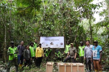 Sejumlah satwa endemik Papua dilepas di hutan Mimika