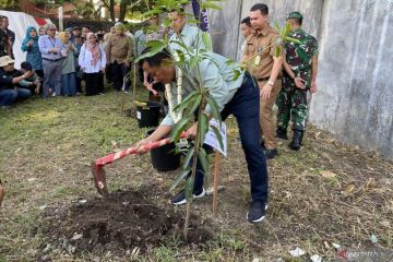 Kota Bandung gencarkan gerakan menanam sayur untuk kendalikan inflasi