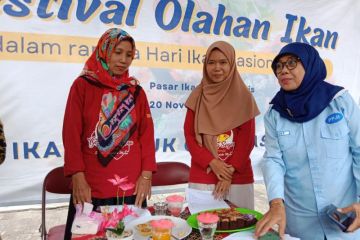 DKP Kulon Progo gelar festival olahan ikan dukung penurunan stunting