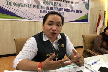 Pemkab Mimika: Realisasi investasi mencapai Rp10 miliar lebih