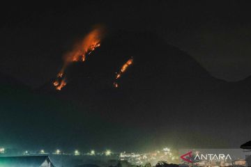 Sambaran petir diduga penyebab karhutla di Gunung Panderman