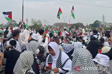 Wali Kota Depok: Tak ada alasan Indonesia tidak membela Palestina
