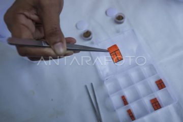 Dinkes Jateng ajak sosialisasikan nyamuk Wolbachia cegah DBD