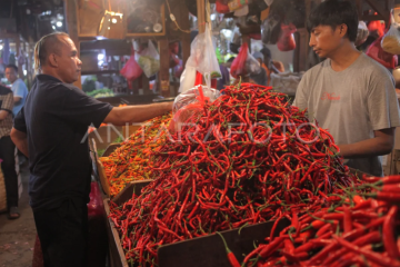 Harga cabai rawit naik Di Jakarta