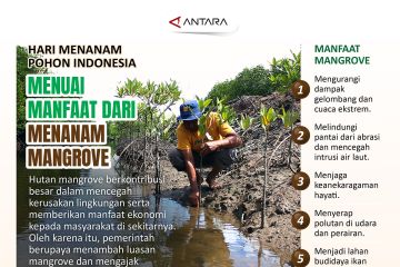 Menuai manfaat dari menanam mangrove