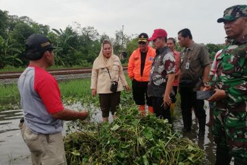 Wali Kota Semarang: Banjir akibat pompa Tenggang-Sringin tak optimal