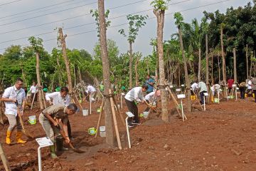PT JIEP sumbang 200 pohon dalam gerakan tanam pohon