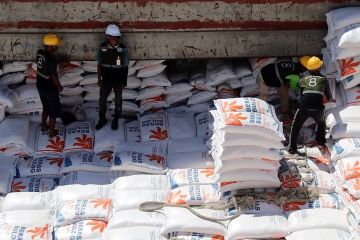 3,9 ribu ton beras impor dari Vietnam tiba di Kalimantan Barat
