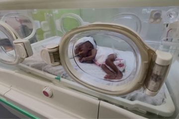 31 bayi prematur dievakuasi dari RS Al-Shifa di Gaza