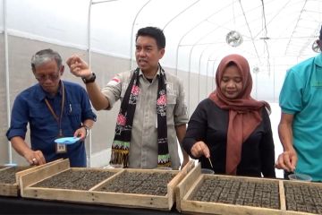 Terapkan teknologi soil block, Sleman songsong benih sayuran unggul